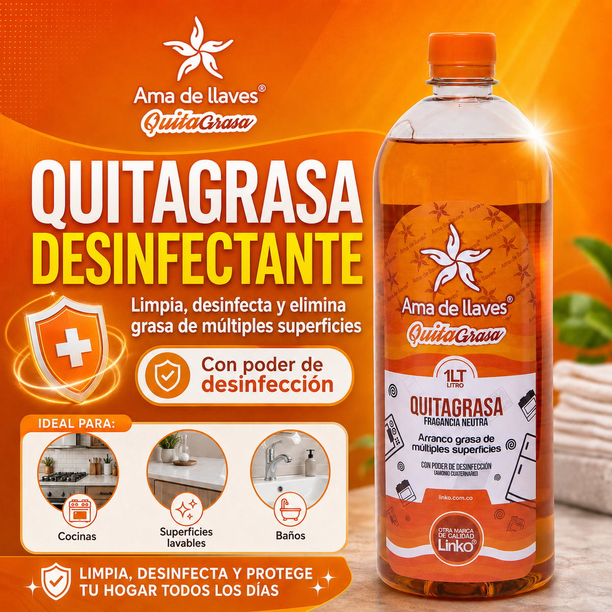 Quitagrasa Desinfectante
