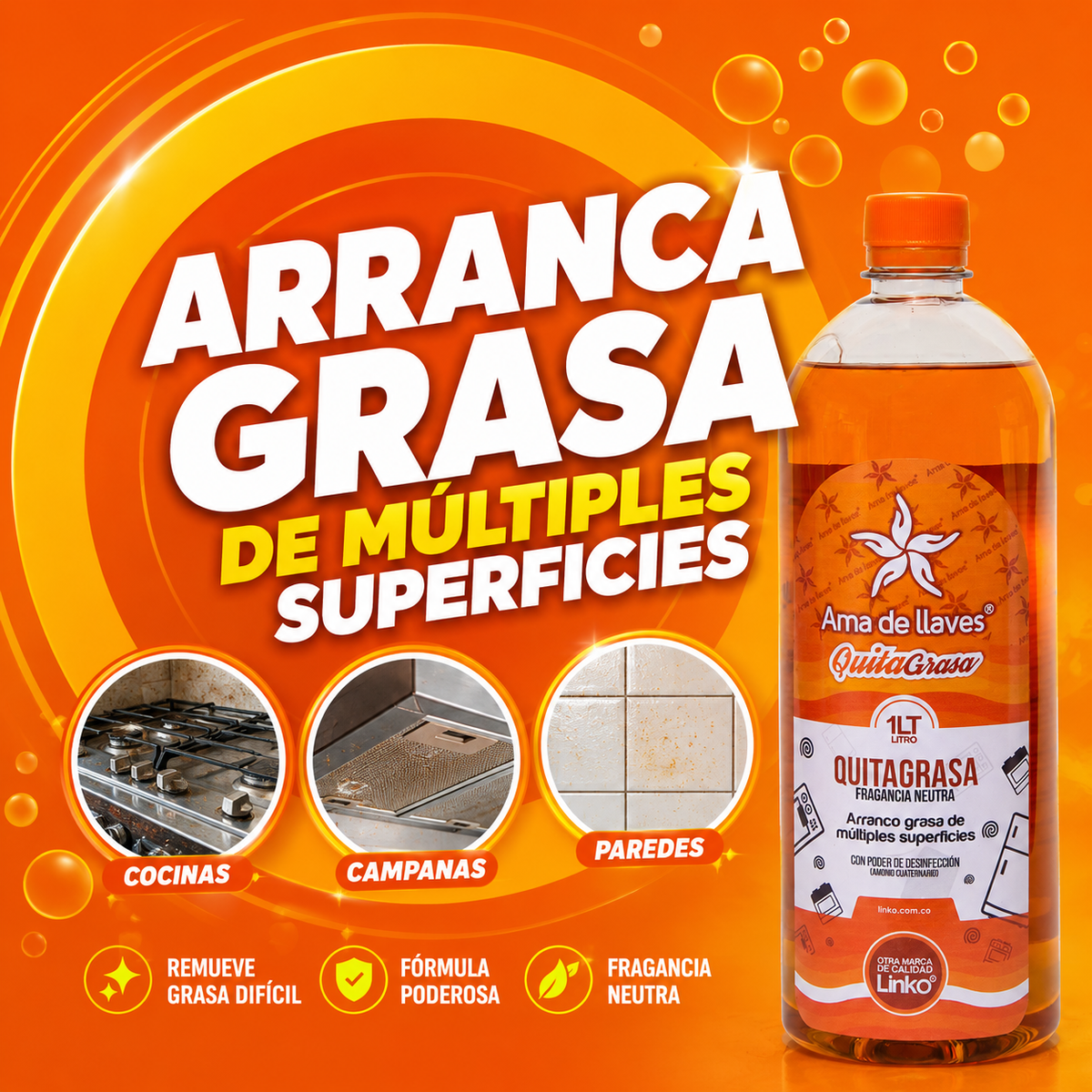 Quitagrasa Desinfectante