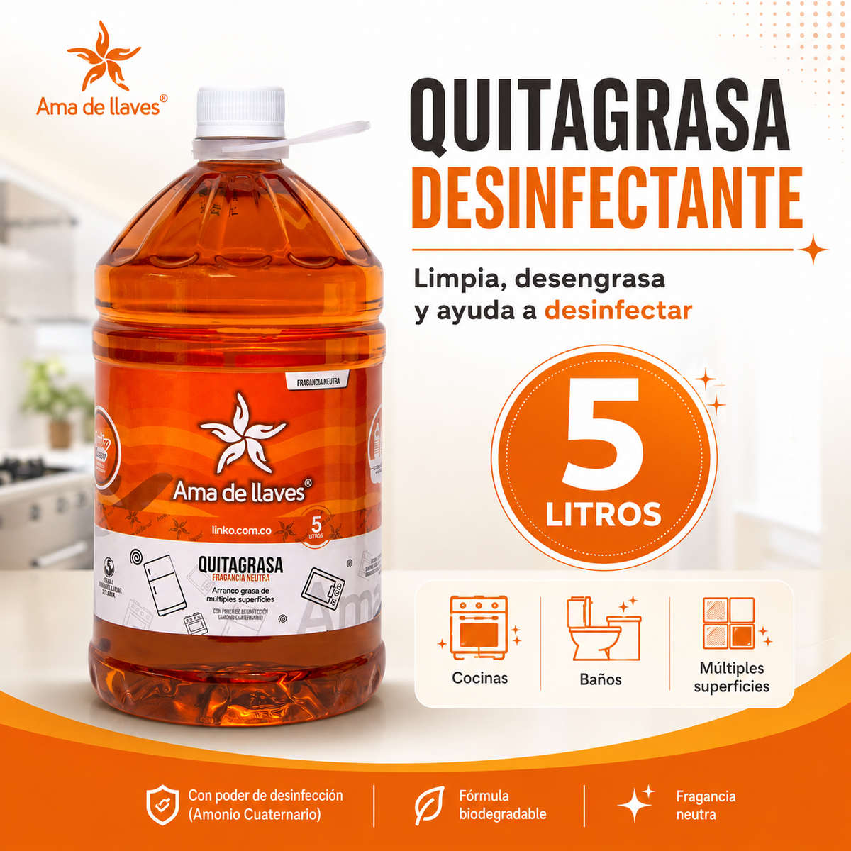 Quitagrasa Desinfectante