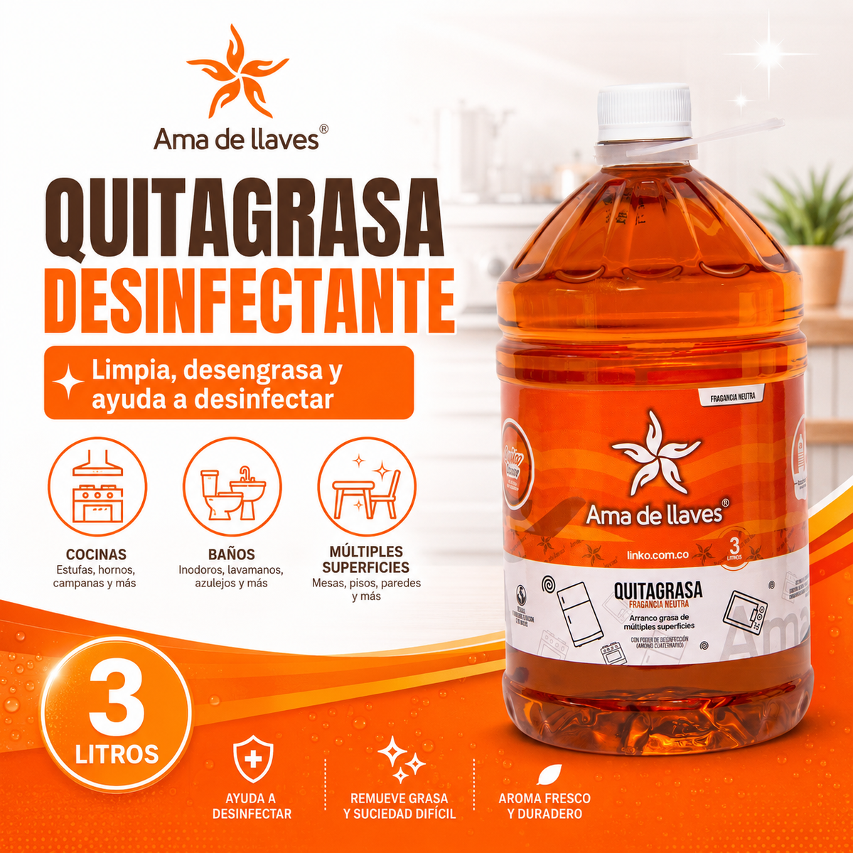 Quitagrasa Desinfectante
